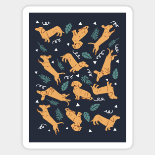 Dachshund Pattern Magnet